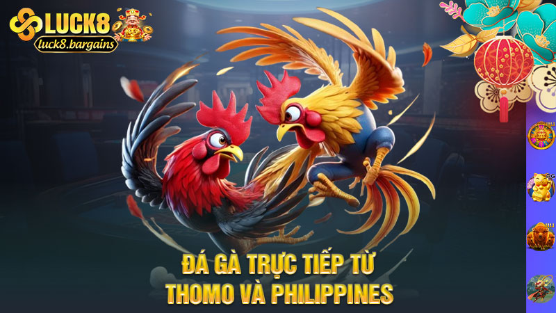 Đá gà trực tiếp từ Thomo và Philippines